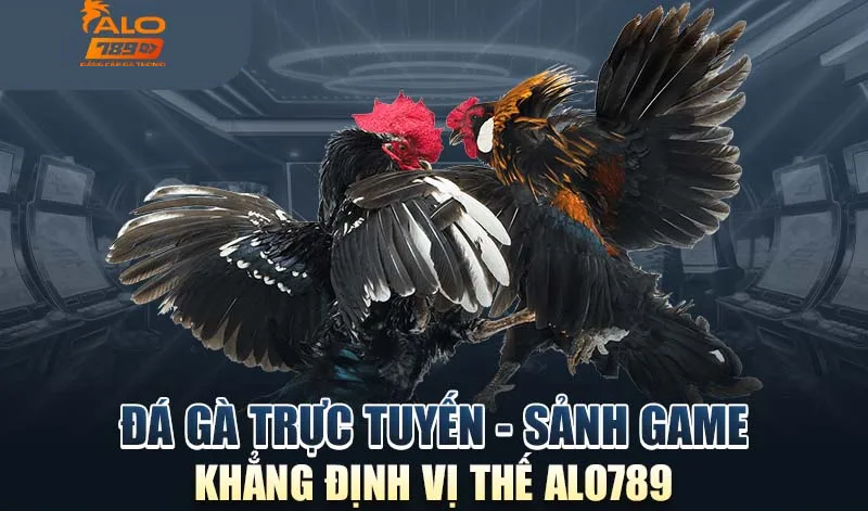 Giới thiệu sơ bộ về hình thức Đá Gà alo789 