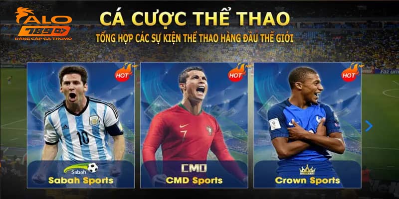 Mẹo tham gia trò chơi cược thể thao dễ thắng nhất