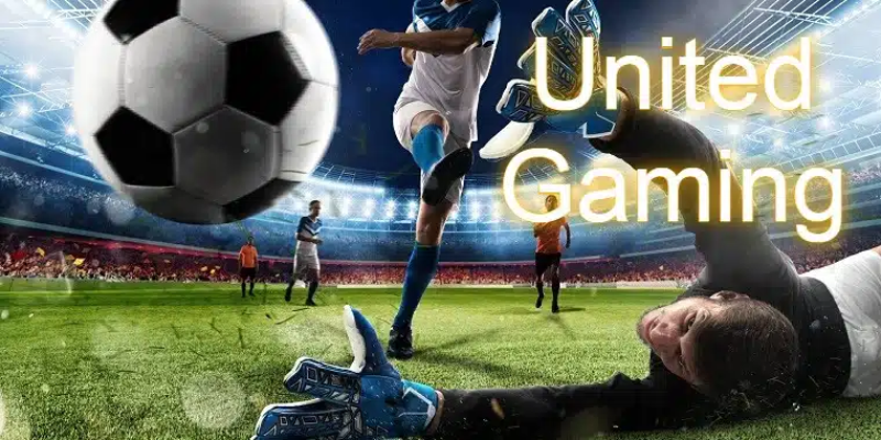 Mẹo nhỏ giành được chiến thắng to cho cá cược thể thao United Gaming alo789